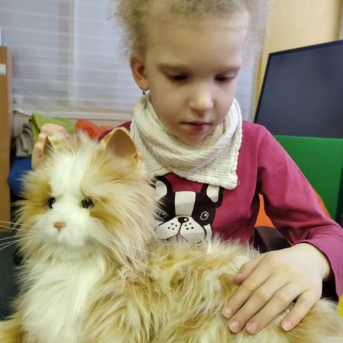 Terapeutická kočka ve výuce v Novém Bohumíně