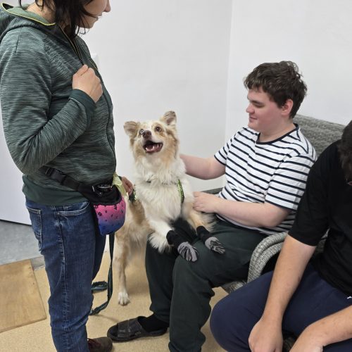 Canisterapie v SŠ Ostrava