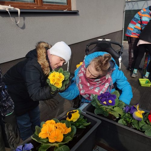 Když škola rozkvete: jarní dekorace vytvořené žáky SŠ Český Těšín