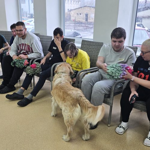 Canisterapie s pejsky Eddie a Killy na SŠ Ostrava