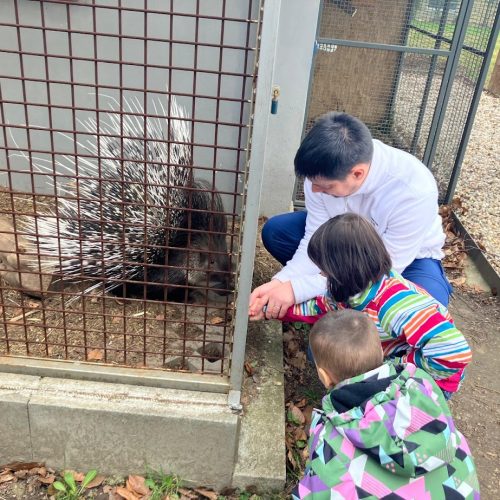 Návštěva zvířátek - Mateřská škola Český Těšín